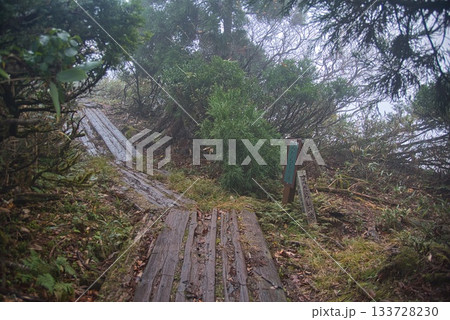 氷ノ山　登山の風景 133728230