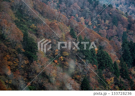 氷ノ山　登山の風景 133728236