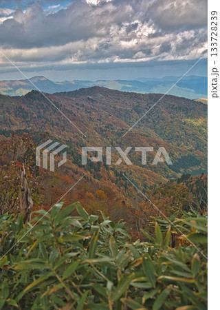 氷ノ山 登山の風景 氷ノ山 登山の風景 133728239