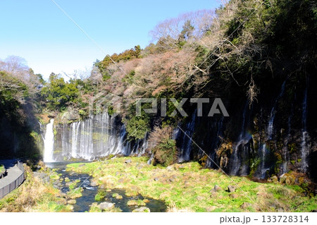 富士山の雪解け水が湧き出す白糸の滝 富士山の雪解け水が湧き出す白糸の滝 133728314