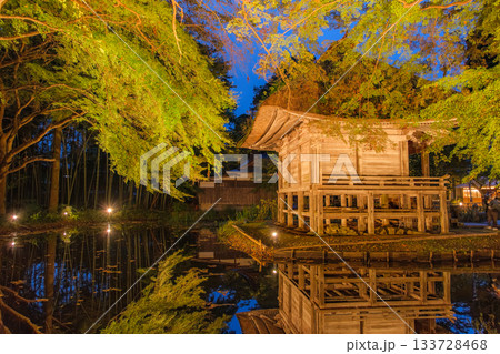 岩手県平泉町 秋の中尊寺、弁財天堂のライトアップ 岩手県平泉町 秋の中尊寺、弁財天堂のライトアップ 133728468