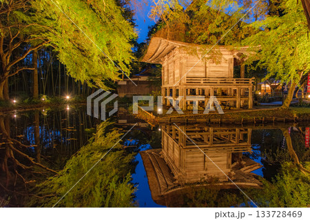 岩手県平泉町 秋の中尊寺、弁財天堂のライトアップ 岩手県平泉町 秋の中尊寺、弁財天堂のライトアップ 133728469