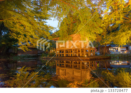 岩手県平泉町 秋の中尊寺、弁財天堂のライトアップ 岩手県平泉町 秋の中尊寺、弁財天堂のライトアップ 133728477
