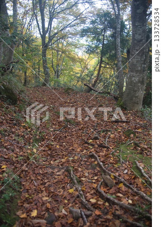 氷ノ山　登山の風景 133728534