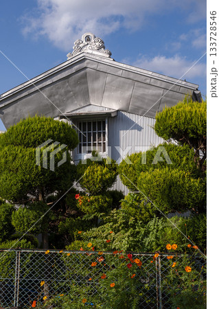 トタンなどの金属で覆われた蔵とキバナコスモス・富士吉田 133728546