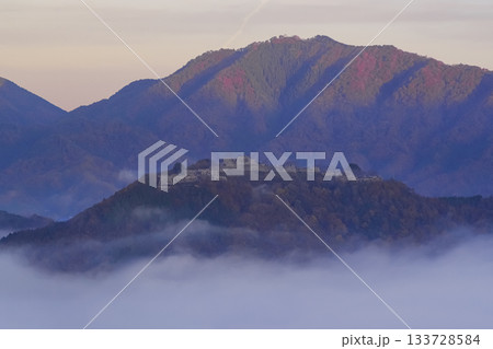 雲海に浮かぶ神秘的な竹田城跡の風景 雲海に浮かぶ神秘的な竹田城跡の風景 133728584