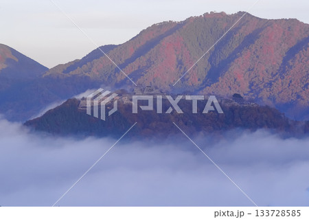 雲海に浮かぶ神秘的な竹田城跡の風景 雲海に浮かぶ神秘的な竹田城跡の風景 133728585