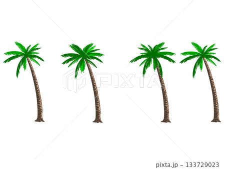 ヤシの木のセット 133729023