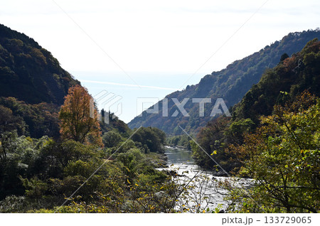 秋の揖斐峡 秋の揖斐峡 133729065