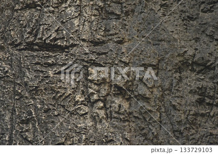 rock detail of Nang Phanthurat mountain forest park travel location in Thailand 133729103
