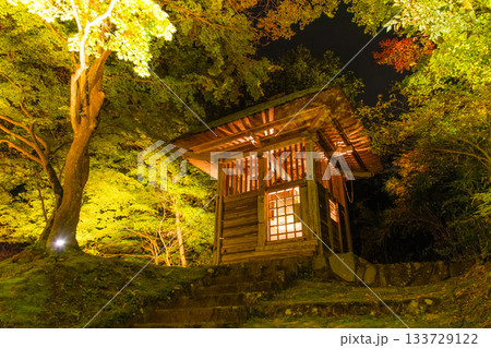 岩手県平泉町 秋の中尊寺、ライトアップされた旧鐘楼 岩手県平泉町 秋の中尊寺、ライトアップされた旧鐘楼 133729122