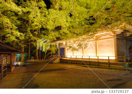 岩手県平泉町 中尊寺金色堂 秋のライトアップ 岩手県平泉町 中尊寺金色堂 秋のライトアップ 133729137