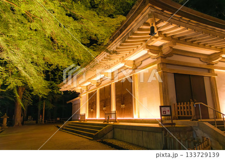 岩手県平泉町 中尊寺金色堂 秋のライトアップ 133729139