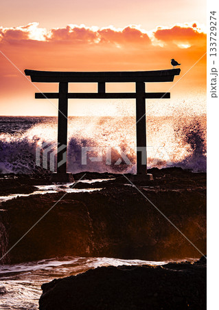 大洗磯前神社　波しぶき 133729274