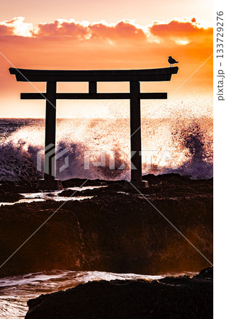 大洗磯前神社　波しぶき 133729276