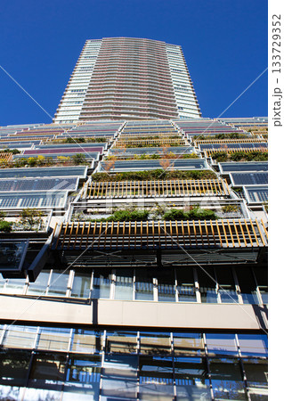 豊島区役所 豊島区役所 133729352