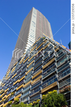 豊島区役所 豊島区役所 133729356