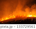 若草山　山焼き 133729561