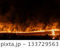 若草山　山焼き 133729563