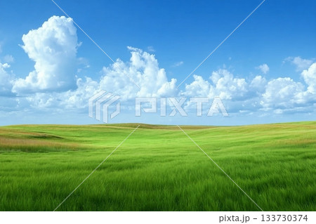 Landscape view of green grass field with blue sky background. Landscape view of green grass field with blue sky background. 133730374