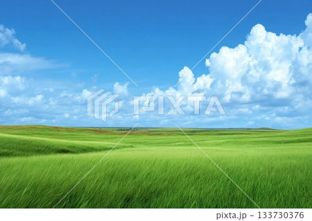 Landscape view of green grass field with blue sky background. 133730376