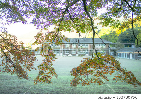 紅葉の向こうに早朝の秋月小学校 133730756