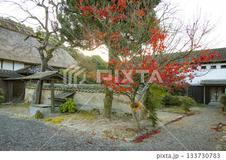 秋月の紅葉と古い建物 秋月の紅葉と古い建物 133730783