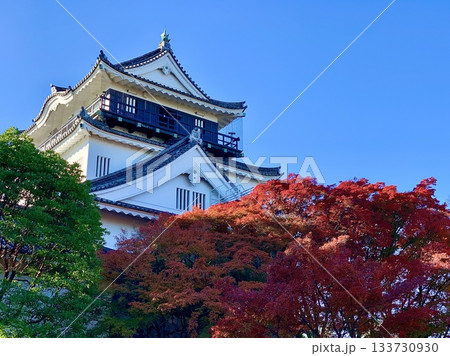 青空と紅葉に彩られた岡崎城天守閣を仰ぎ見る〈岡崎城公園/愛知県岡崎市〉 青空と紅葉に彩られた岡崎城天守閣を仰ぎ見る〈岡崎城公園/愛知県岡崎市〉 133730930