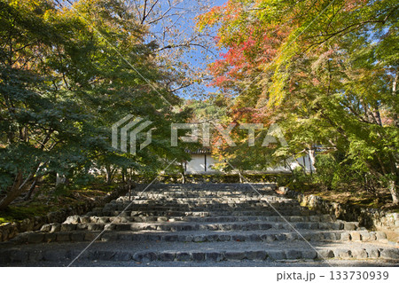 小倉山二尊院 色づき始めた紅葉の馬場15 小倉山二尊院 色づき始めた紅葉の馬場15 133730939