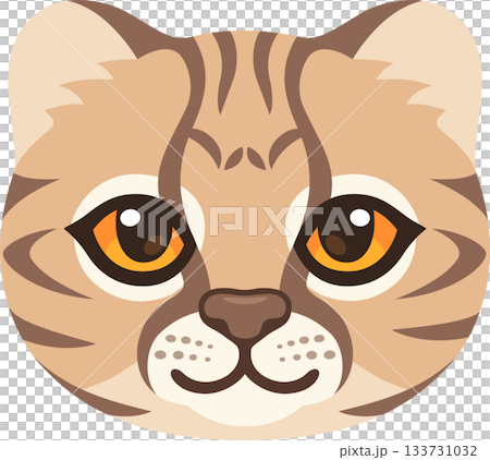 Cartoon wild Kodkod cat face Cartoon wild Kodkod cat face 133731032