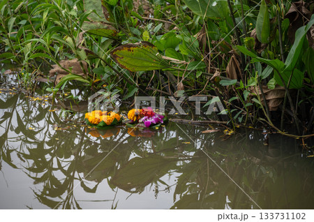 The Krathongs stuck at water plants as garbage after Loy Krathong festival in Thailand. Krathong is garbage is partially true, as the festival generates significant waste that pollutes waterways. The Krathongs stuck at water plants as garbage after Loy Krathong festival in Thailand. Krathong is garbage is partially true, as the festival generates significant waste that pollutes waterways. 133731102