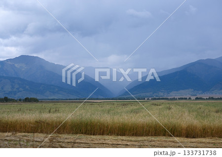 Landscape with a field of ripe oats against the backdrop of majestic mountains Landscape with a field of ripe oats against the backdrop of majestic mountains 133731738