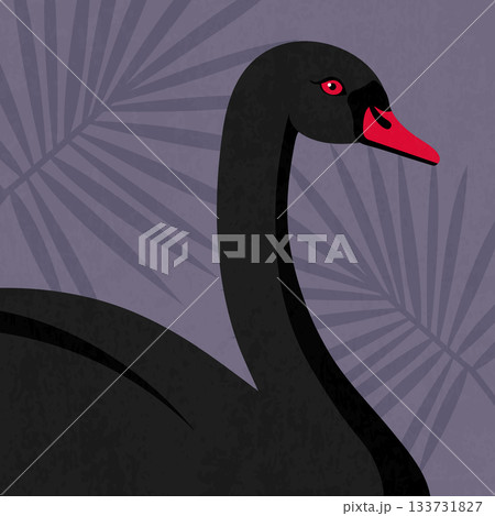 Black swan portrait on grunge dotted background decorated with leaves. Vector illustration 133731827