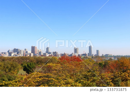 秋の荒川河川敷：荒川橋梁を渡る湘南新宿ライン 133731875