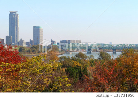 秋の荒川河川敷：荒川橋梁を渡る京浜東北線・上野東京ライン 133731950
