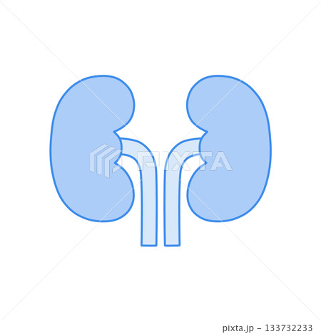 青いモノクロの腎臓イラスト 青いモノクロの腎臓イラスト 133732233