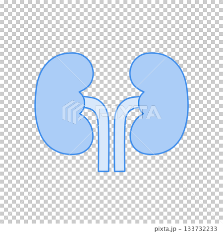 藍色單色腎臟插圖 133732233