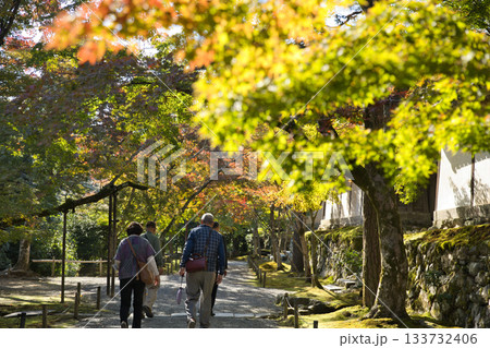 小倉山二尊院 境内の美しい参道と木漏れ日6 小倉山二尊院 境内の美しい参道と木漏れ日6 133732406