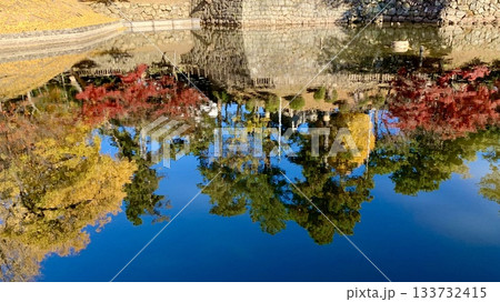 秋の水鏡(青空に映える大銀杏と紅葉)〈岡崎城公園(龍城堀)/愛知県岡崎市〉 秋の水鏡(青空に映える大銀杏と紅葉)〈岡崎城公園(龍城堀)/愛知県岡崎市〉 133732415