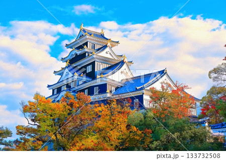 【岡山県】黄葉（紅葉）した岡山城の天守閣（令和の大改修後） 133732508