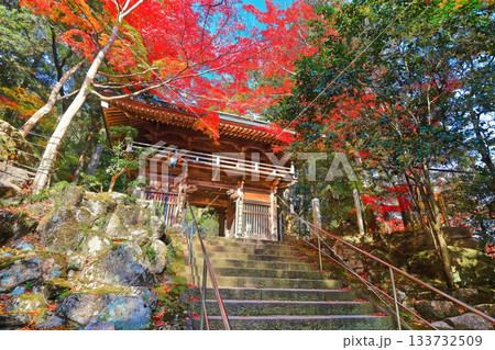 【香川県】四国霊場「第88番札所」秋の紅葉した大窪寺 【香川県】四国霊場「第88番札所」秋の紅葉した大窪寺 133732509