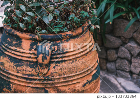 [神戸メリケンパーク]クリスマスのイルミネーションが美しい風景 133732864