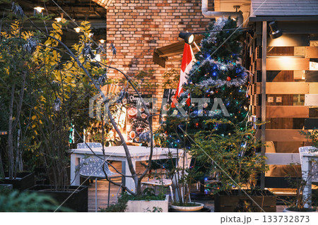 [神戸メリケンパーク]クリスマスのイルミネーションが美しい風景 133732873