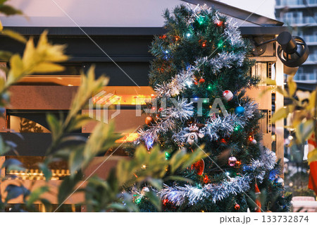 [神戸メリケンパーク]クリスマスのイルミネーションが美しい風景 133732874