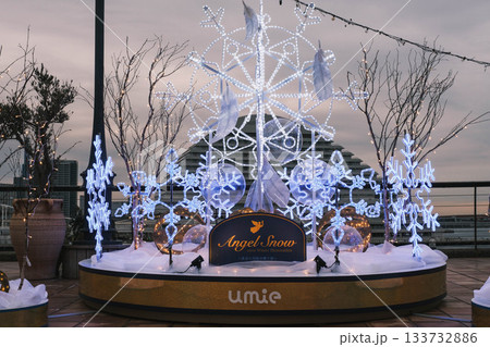 [神戸メリケンパーク]クリスマスのイルミネーションが美しい風景 133732886
