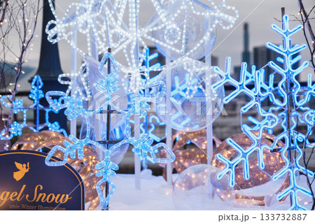 [神戸メリケンパーク]クリスマスのイルミネーションが美しい風景 133732887
