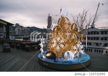 [神戸メリケンパーク]クリスマスのイルミネーションが美しい風景 133732895