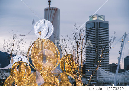 [神戸メリケンパーク]クリスマスのイルミネーションが美しい風景 133732904