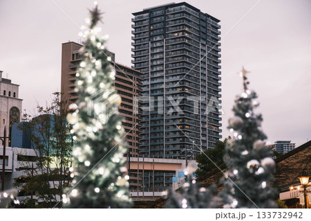 [神戸メリケンパーク]クリスマスのイルミネーションが美しい風景 133732942