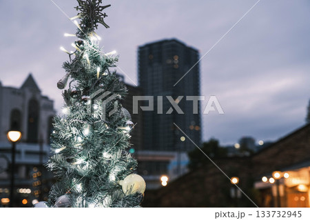 [神戸メリケンパーク]クリスマスのイルミネーションが美しい風景 133732945